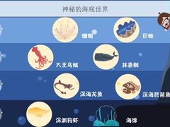 -新东方素质成长中心(金源校区)