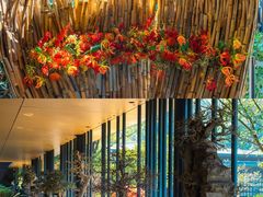 -云溪植物园