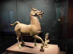 -广西壮族自治区博物馆