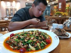 -功夫兔