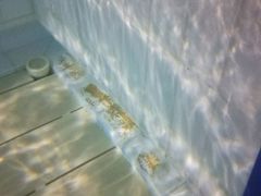 -奥林匹克体育中心游泳馆