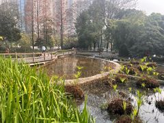 -成都市活水公园