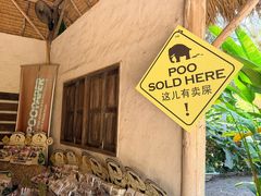 -大象粑粑造纸公园