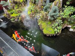 -唐河王记·南阳民间菜(国基路店)