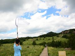 -白草畔自然风景区