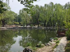 -近春园遗址