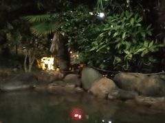 -张家港金凤凰度假村温泉