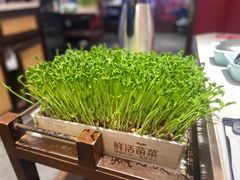 -捞神煲汤火锅(湖滨商业街店)