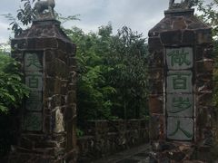 -磐安舞龙峡景区