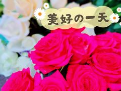 -循礼门鲜花花市(武汉循礼门店)