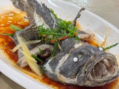 龙胆石斑鱼-潘先生平价海鲜城(神州半岛店)