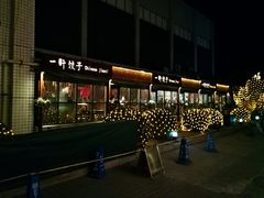 -一轩饺子馆(丽都店)