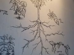 -星巴克(福州万象九宜城分店)