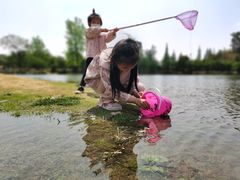 -两河城市森林公园