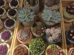 -瑞虹新天地月亮湾