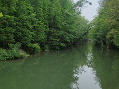 -桤木河湿地公园