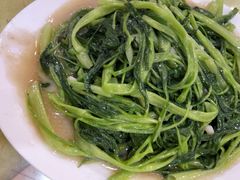 -鸿达渔港