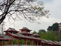 -重庆彩云湖湿地公园
