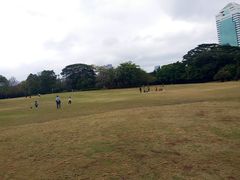 -荔香公园