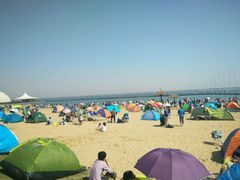 -碧海金沙