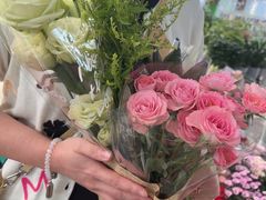 -三圣花乡旅游区