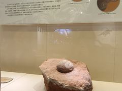 -衢州市博物馆