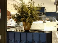 -深圳威尼斯英迪格酒店-邻芙花廊下午茶·NINFA GALLERY·蛋糕·咖啡