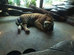 -皇家极地海洋世界-售票处