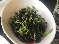 -云中小雅