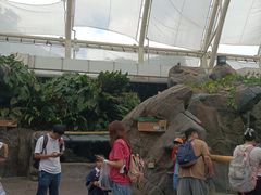 -香港海洋公园