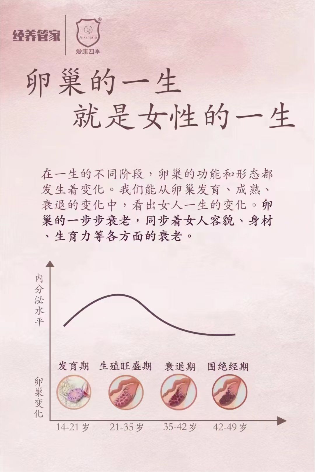 卵巢的一生,就是女性的一生❗
20➕
拥有一颗饱满的卵巢女人