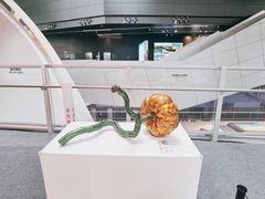 -深圳市当代艺术与城市规划馆