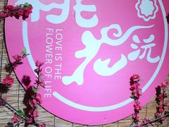 -桃花沅火锅(长嘉汇江景店)