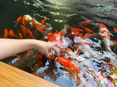 -杭州开元森泊度假乐园