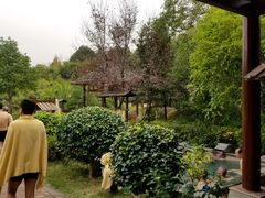 -咸宁万豪温泉谷度假区