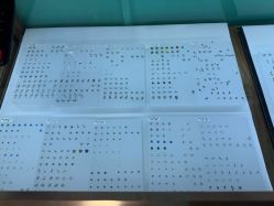 -苏针艺纹身·穿孔饰品