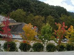 -黎坪国家森林公园