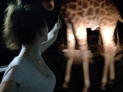 -清迈夜间动物园