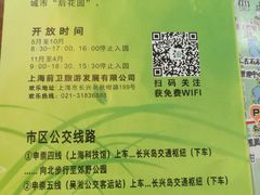 -上海长兴岛郊野公园