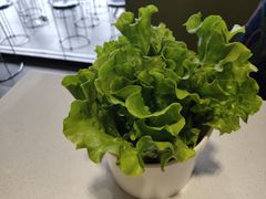 -古乐牛香·鲜牛肉牛杂火锅(吴江三里桥运东商业广场店)