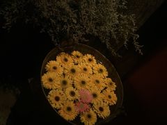 -花马天堂云南餐厅 Lost Heaven(外滩店)