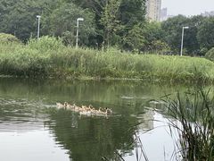 -白塘生态植物园