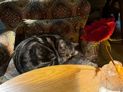 -咖法森林·咖啡  酒吧(天河店)