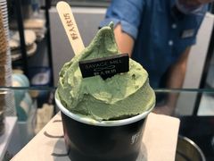 -野人先生现做冰淇淋(西安赛格店)
