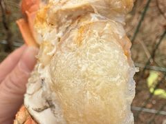-珍宝海鲜JUMBO Seafood(ifc店)