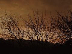 -鸡枕山