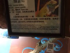 -上海大自然野生昆虫馆(东方明珠·爬宠昆虫探索中心)