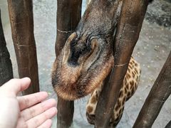 -长鹿旅游休博园