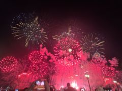 -广州白天鹅宾馆