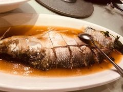 清蒸鲥鱼-圆苑(上海广场店)